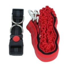 Harnais et Laisse pour Chien 160 cm Ceinture Réglable 55-90 cm Longe