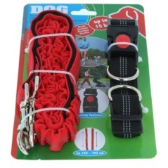 Dog Harness and Leash 160 cm Adjustable Belt 55-90