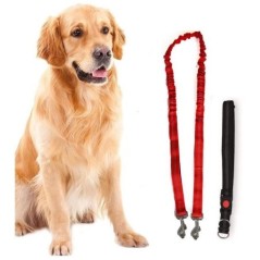 Harnais et Laisse pour Chien 160 cm Ceinture Réglable 55-90