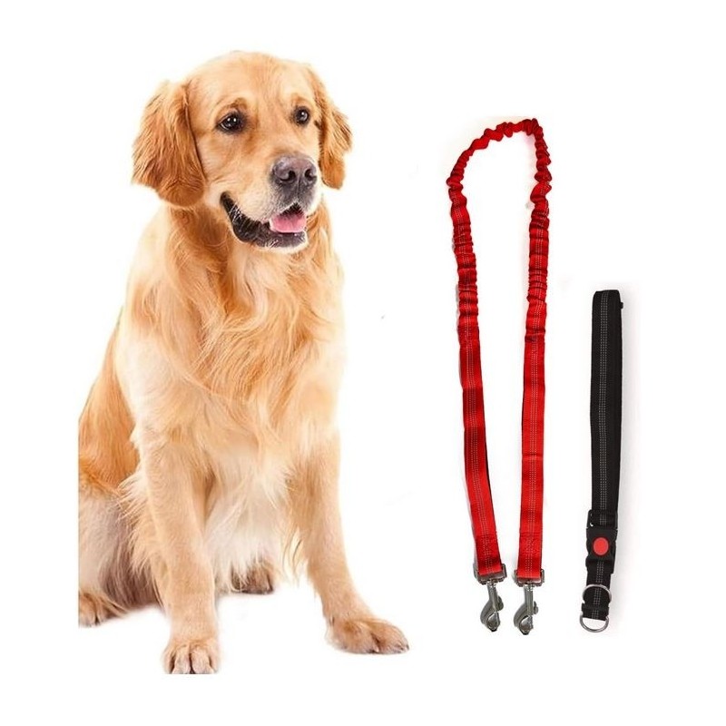 Imbracatura e Guinzaglio per Cane 160 cm Cintura Regolabile 55-90