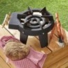Cast Iron Gas Stove 4 Feet 2 Burners 9800W Power
