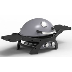 Barbecue à Gaz 2 Brûleurs Inox