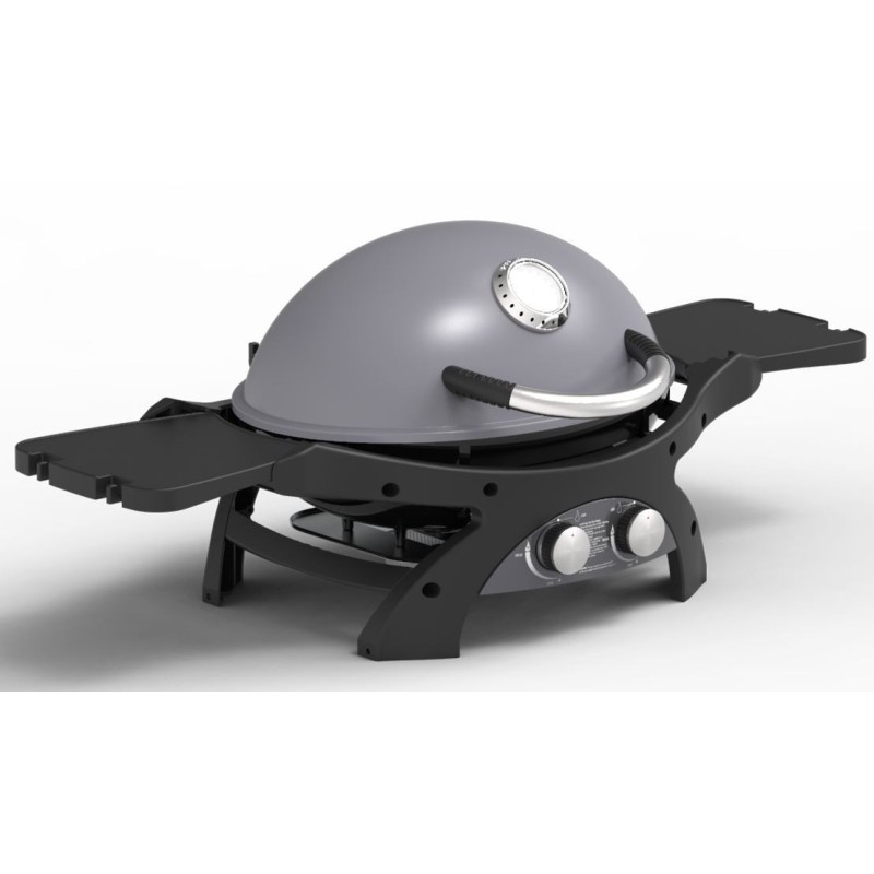 Barbecue à Gaz 2 Brûleurs Inox