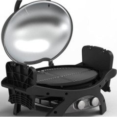  2 Grilles Fonte 58x42.5 cm