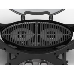 Gas Barbecue – 2 Stainless Steel Burners, 2 Cast Iron Grates 58x42.5 c