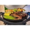 Barbecue a Gas 2 Bruciatori Inox 2 Griglie in Ghisa 58x42.5 cm