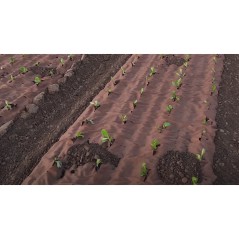 Tecido de cobertura 0.6x100m Biodegradável Antiervas KZ