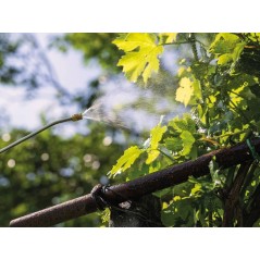 Spruzzatore a batteria 5L Litio-ion 3,7V Autonomia 2,5h