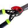 Cisaille de Jardin à Levier Démultiplicateur Lames Acier Carbone 27.5
