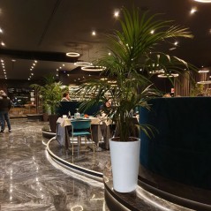 Maceta Cónica Gris Topo Ø30cm H52cm Reciclada Resistente UV