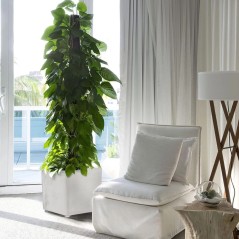 Pot de Flor Quadrado Cinza 50L Polipropileno Reciclado 40x40cm Resistente