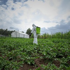 Electric Lithium Sprayer 16L 6 bars 4.5 L/min VITO