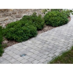 Stenenleggershamer Geharde Stalen Kop 1 kg Houten Steel 38,5 cm VITO