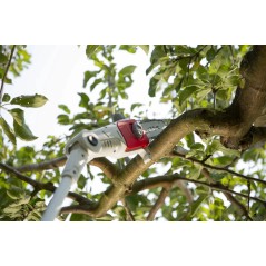 Élagueuse sans fil 20V Lame 20cm Batterie Li-ion 2,0Ah Perche