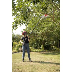 Élagueuse sans fil 20V Lame 20cm Batterie Li-ion 2,0Ah Perche