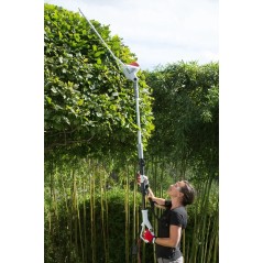 Taille-Haies Télescopique 600W Lame 59cm Manche 1.95-2.40m IKRA