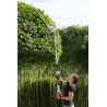 Telescopic Hedge Trimmer 600W Blade 59cm Handle 1.95-2.40m IKRA