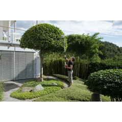 Telescopic Hedge Trimmer 600W Blade 59cm Handle 1.95-2.40m IKRA