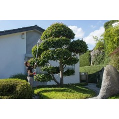 Cortador de Cerca-Viva Telescópico 600W Lâmina 59cm Cabo 1,95-2,40m IKRA