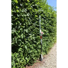 Telescopic Hedge Trimmer 600W Blade 59cm Handle 1.95-2.40m IKRA