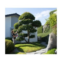 Teleskop-Heckenschere 40V Stahlklingen 48cm Fiberglasstiel IKRA