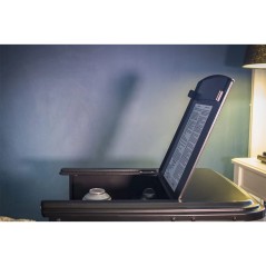 Gaskachel 3400W Houtvuur Effect 3 Verwarmingsniveaus