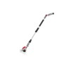 Cordless Telescopic Grass & Shrub Shear 12V – 10/20cm Blades IKRA