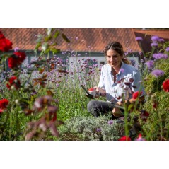 Cordless Telescopic Grass & Shrub Shear 12V – 10/20cm Blades IKRA