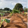 Toile de Paillage Biodegradable KZ GARDEN 0.4x100m