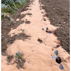 Toile de Paillage Biodegradable KZ GARDEN 0.4x100m