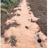 Toile de Paillage Biodegradable KZ GARDEN 0.4x100m