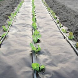 Toile de Paillage Biodegradable KZ GARDEN 0.4x100m