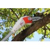 Élagueuse télescopique Ikra 750W pour coupe précise