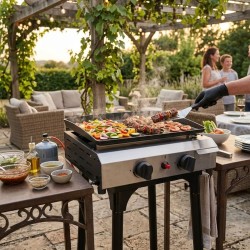 Plancha Gas Esterna 4800W INTEC - Versatilità e Potenza