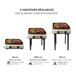 Outdoor Gas Griddle 4800W INTEC - Versatility and Power