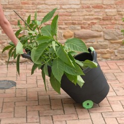 Carrello da Giardino 62L KZ GARDEN - Trasporto Facile Legno