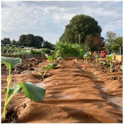 Pappelholzpfähle Garten KZ GARDEN - 60 Stk Mulchvlies