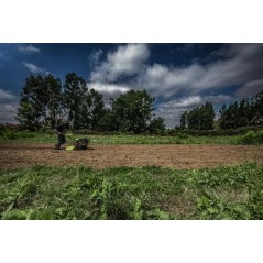 Motoculteur à essence 4T 7CV 212 cm3 Fraises double sens