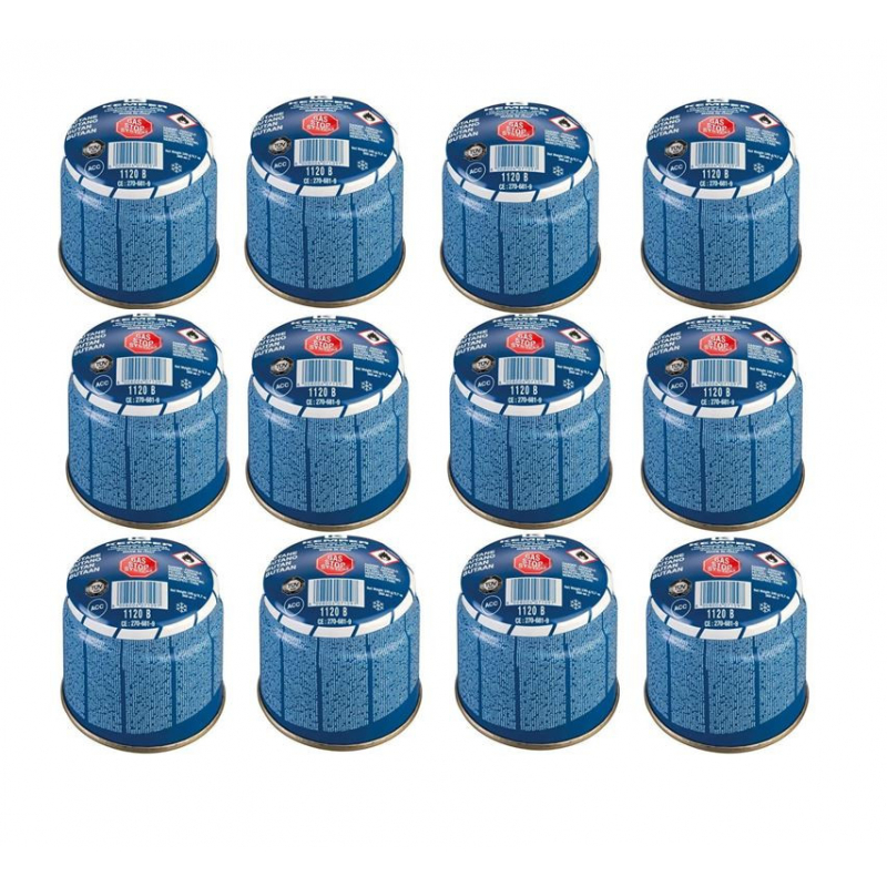 Pack de 12 Cartouches gaz 330g Bouteilles Butane propane 600ml