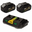 Pack 2 Batteries Lithium 20V 4.0Ah + Chargeur double Gamme sans fil VITO