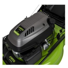 Petrol Lawn Mower 65 HP 196 cm³ 4-Stroke 65L Bin