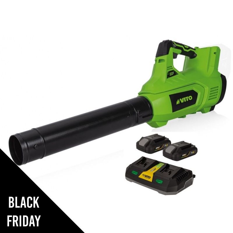 Souffleur de feuilles sans fil 40V + 2 Batteries lithium 4.0AH + Chargeur Double VITO