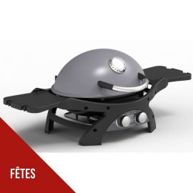 Barbecue à Gaz PIT BOSS 2 Grilles en fonte Cuisson 58 x 42.5 cm 2 Bruleurs Inox 2 Tablettes rabatables Thermomètre