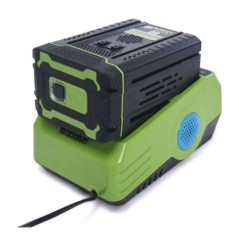 Caricabatterie al Litio 60V Carica Rapida Indicatore LED