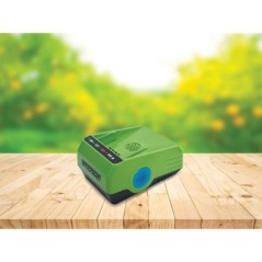 Caricabatterie al Litio 60V Carica Rapida Indicatore LED