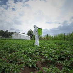 Lance Pulvérisateur Fibre Résistante 70 cm x 0