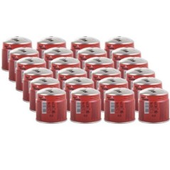 Cartouches gaz 190g Pack 24 - Mélange Butane Propane