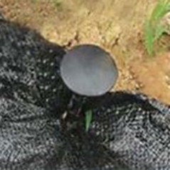 Conjunto de 10 Estacas de Fixação Tela de Cobertura 20 cm