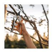 Ferramenta de corte para jardim