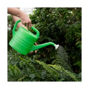 Watering Can